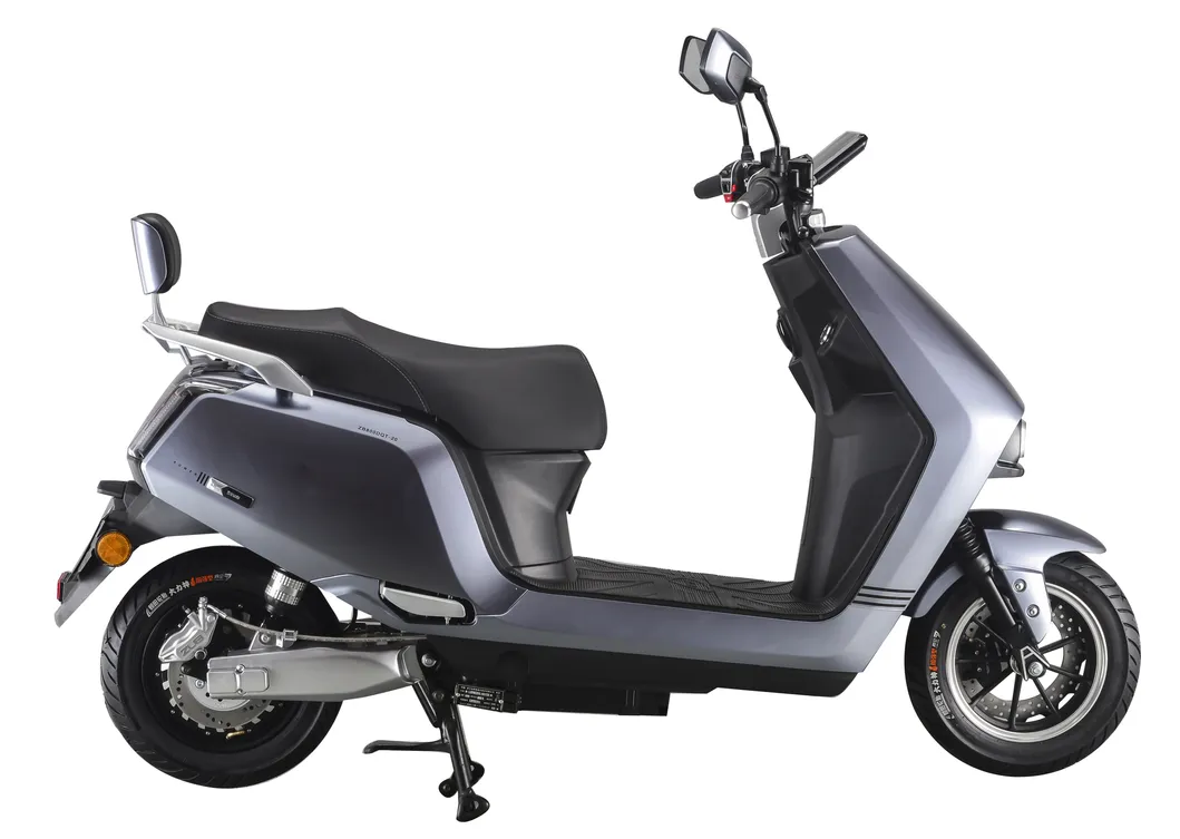 60V1000W Niu Style Electric Motorcycle with Pedal Big Screen Speed Meter