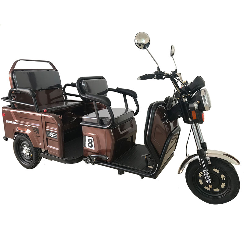 Adult Leisure 48V 500W Electric Tricycle / Trike