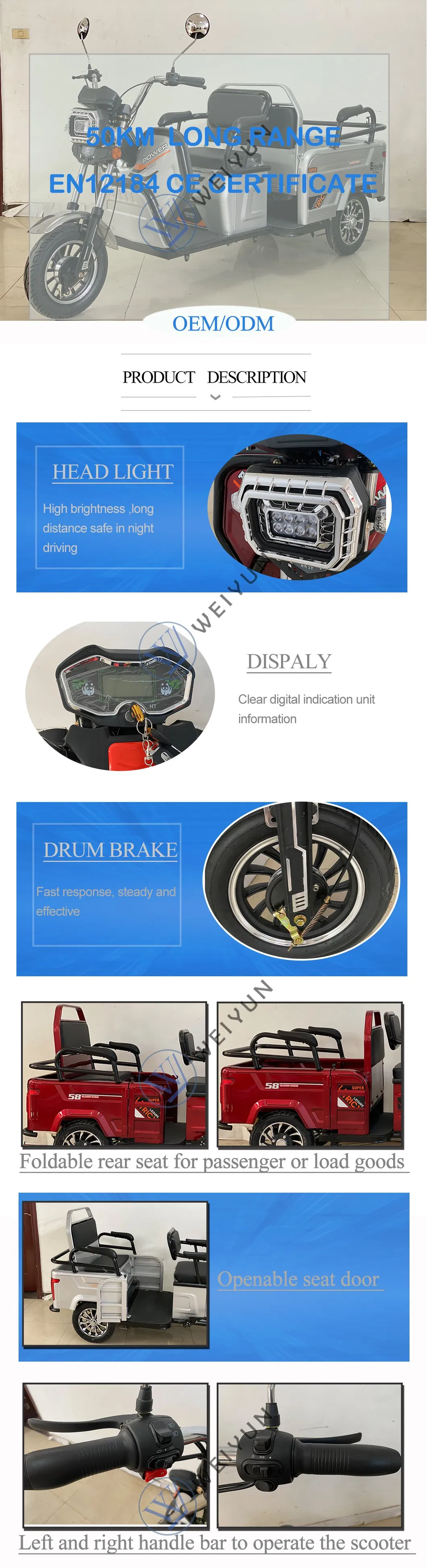 Adult Leisure 48V 500W Electric Tricycle / Trike