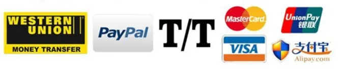 Agile 48V 1000W Fat Tire Electric Bike Hub Motor Kit with Ce