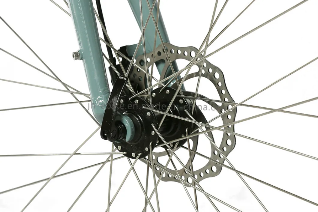 Alloy Frame Fixie Urban Bike 700c E-City Electric City Bike 250W Ladies City Bicycle