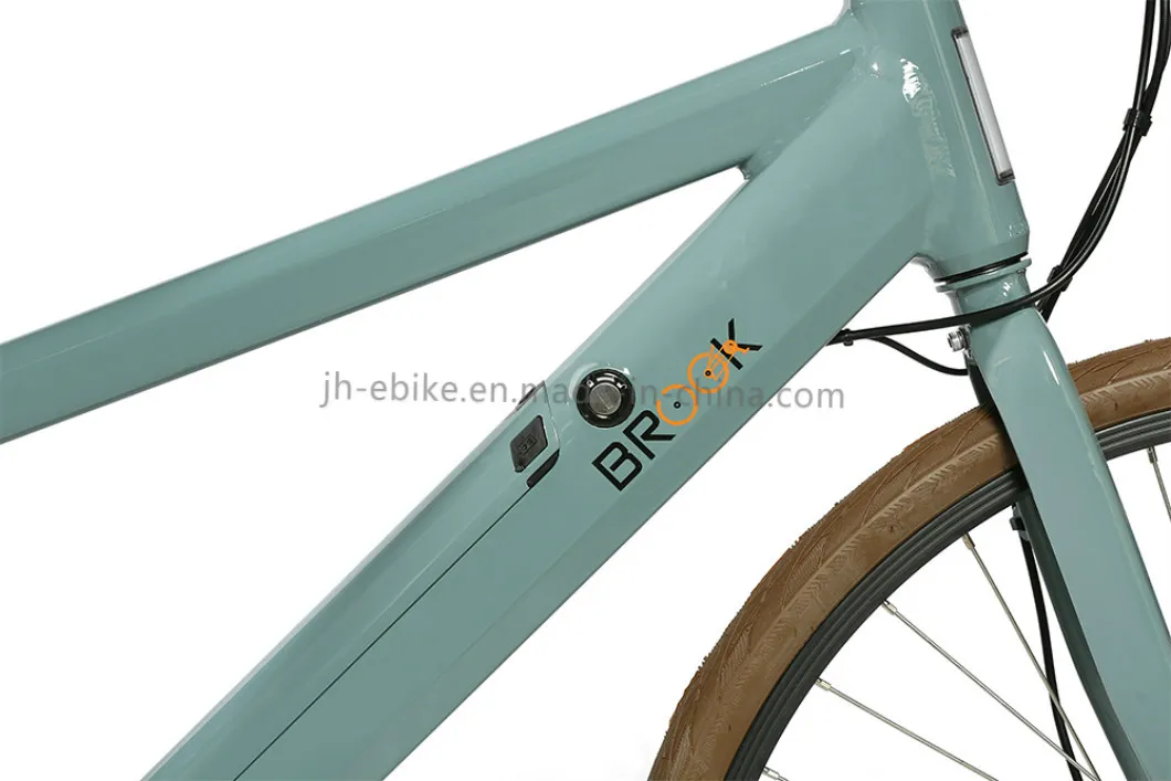 Alloy Frame Fixie Urban Bike 700c E-City Electric City Bike 250W Ladies City Bicycle