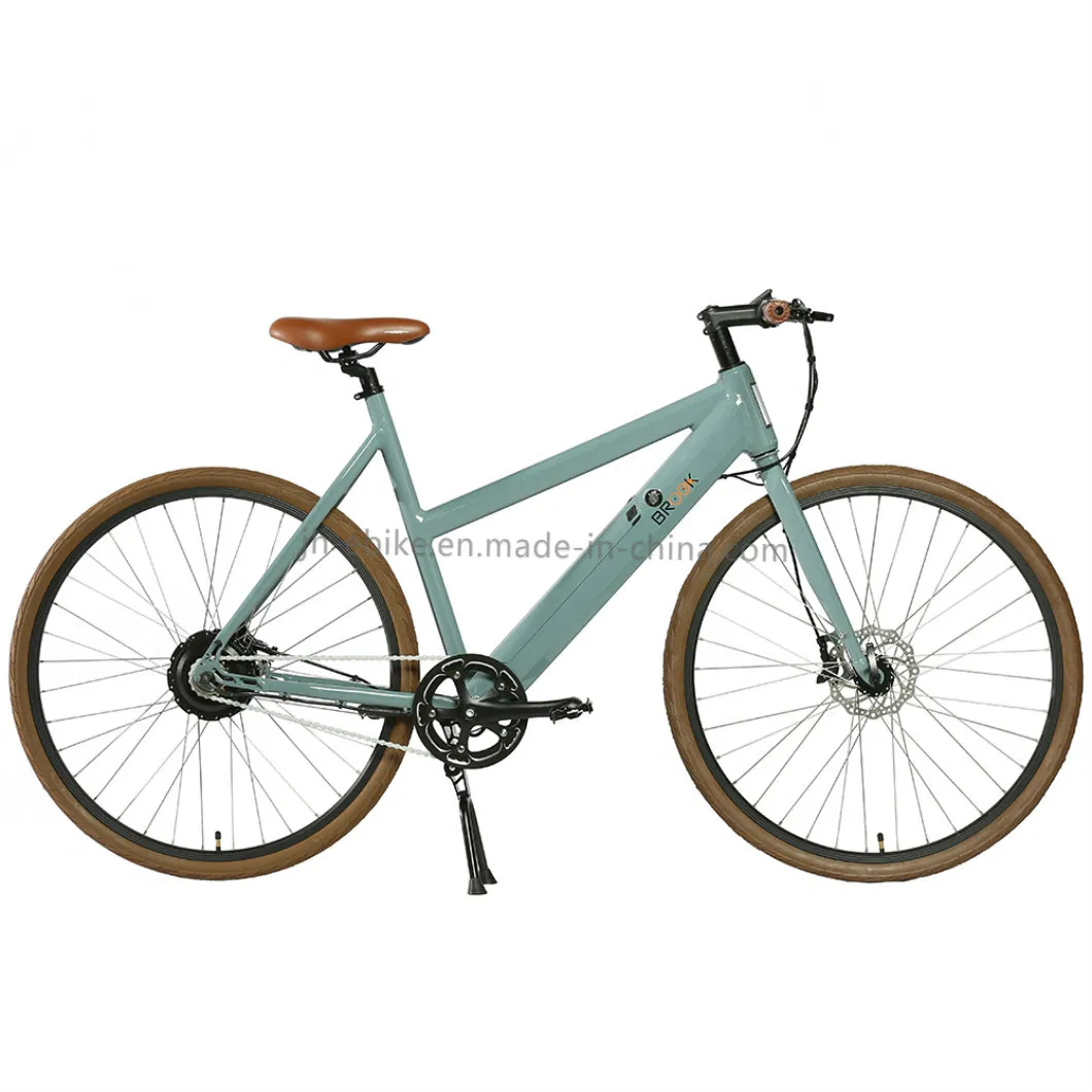 Alloy Frame Fixie Urban Bike 700c E-City Electric City Bike 250W Ladies City Bicycle