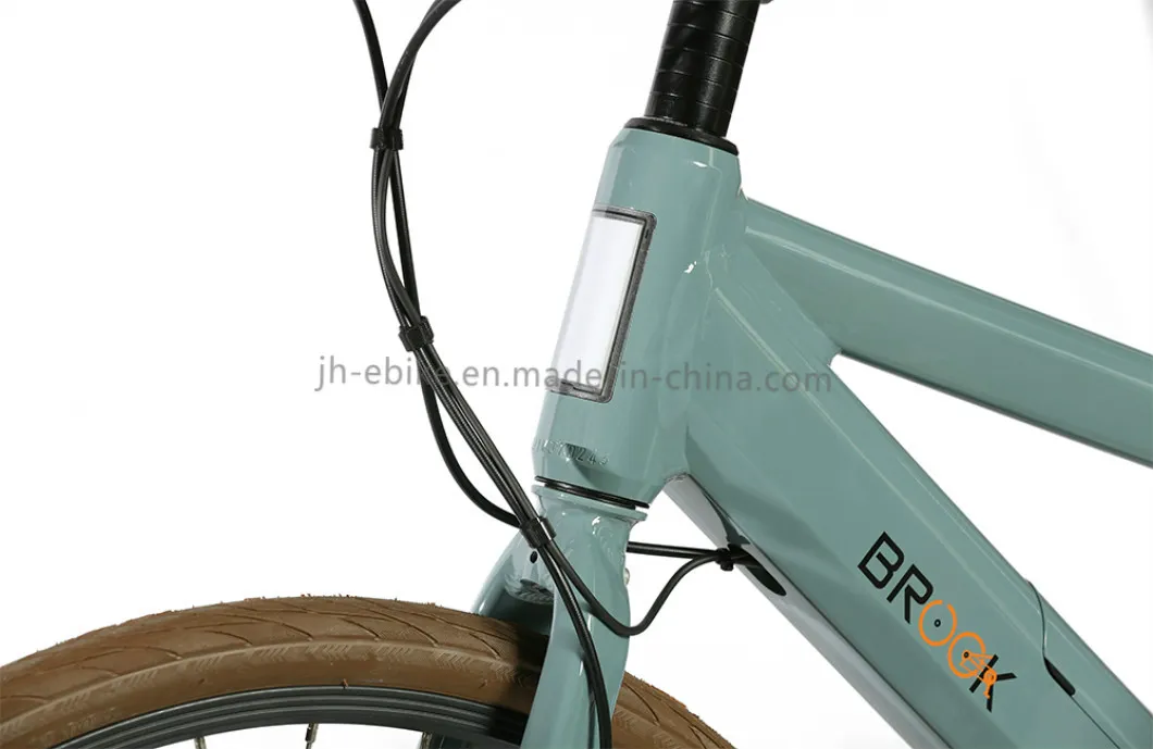 Alloy Frame Fixie Urban Bike 700c E-City Electric City Bike 250W Ladies City Bicycle