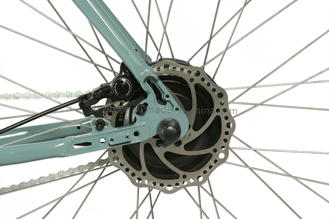 Alloy Frame Fixie Urban Bike 700c E-City Electric City Bike 250W Ladies City Bicycle