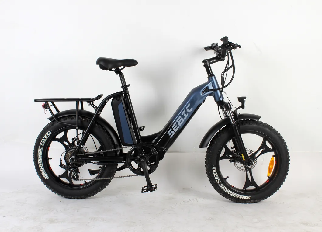 Aluminum Alloy Carton 910*465*740mm China Folding Electric Bike Ebike with ISO