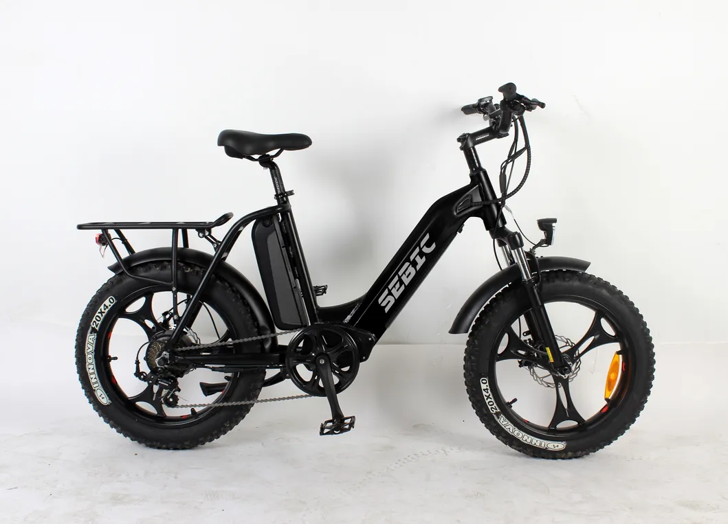 Aluminum Alloy Carton 910*465*740mm China Folding Electric Bike Ebike with ISO