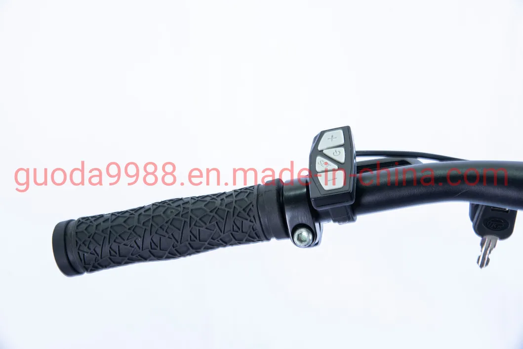 Aluminum Frame Aluminum Stem Alloy Headsets Electric Mountain Bike