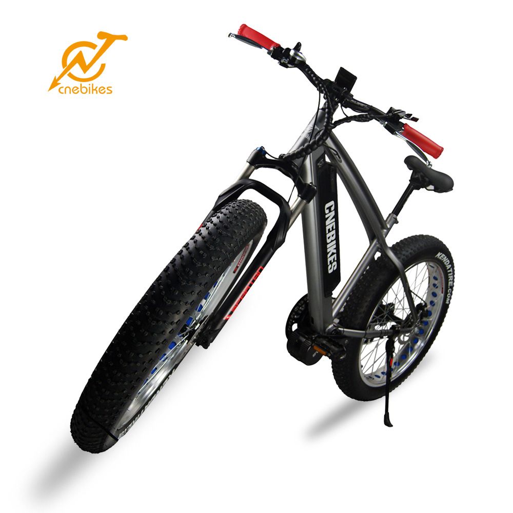 Bafang MID Motor Fat Bike! Electric Fat Bike MID Motor