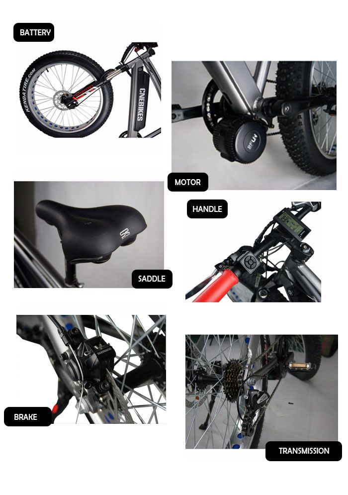 Bafang MID Motor Fat Bike! Electric Fat Bike MID Motor