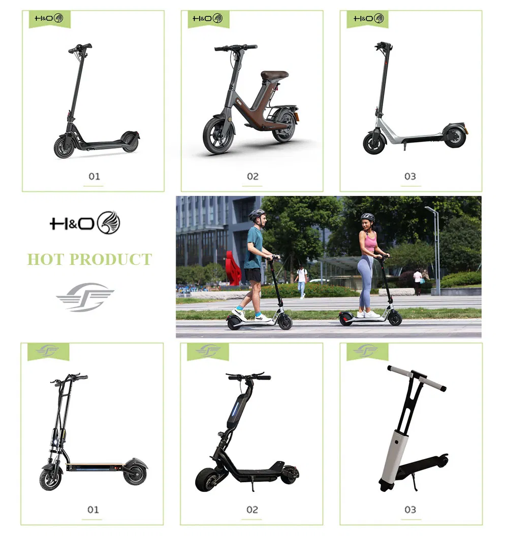 Batteria Motore Germania 350W 500 W Batterie off Road Al Litio Pedali Pieghevole Foldable Per Adulti Scooter Elettrico