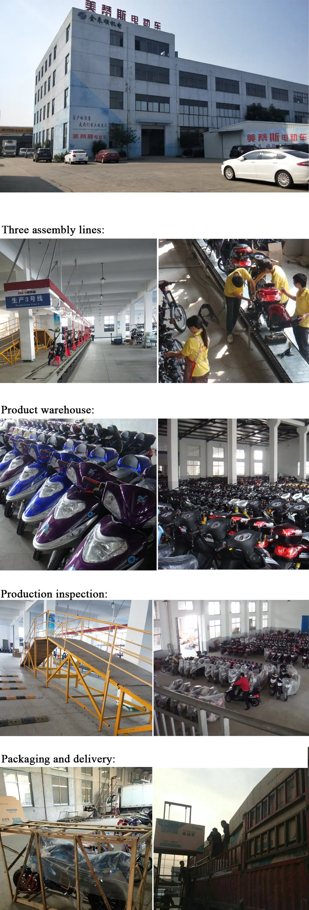 Battery Power 800 Watt Electric Scooter 50km