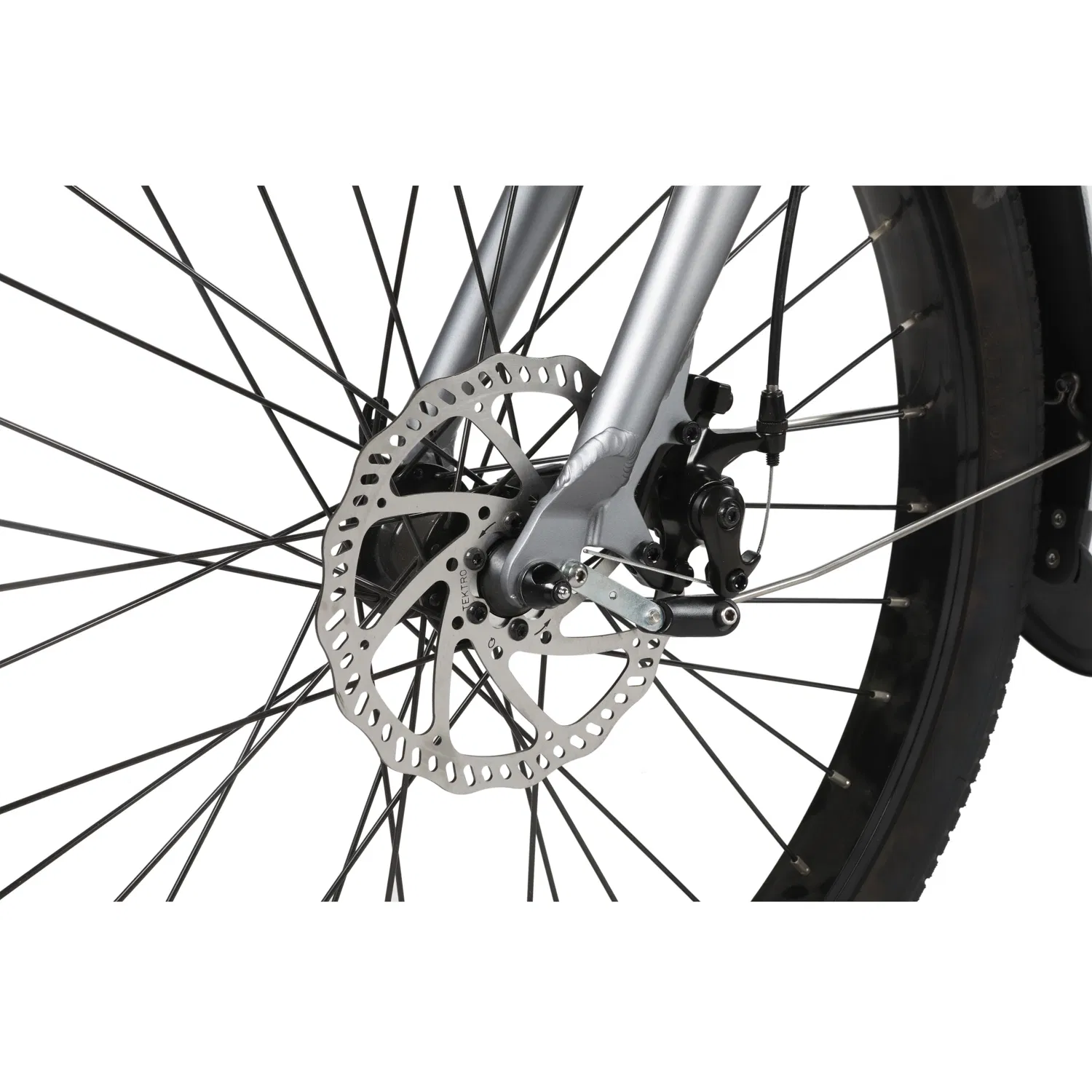 Beach Cruiser Fat Tyre Electric Mountain Bicycle Ebike with 250W Rear Motor