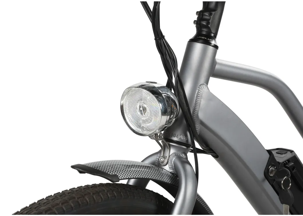 Beach Cruiser Fat Tyre Electric Mountain Bicycle Ebike with 250W Rear Motor