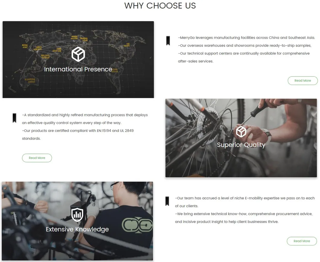 Beach Cruiser Fat Tyre Electric Mountain Bicycle Ebike with 250W Rear Motor