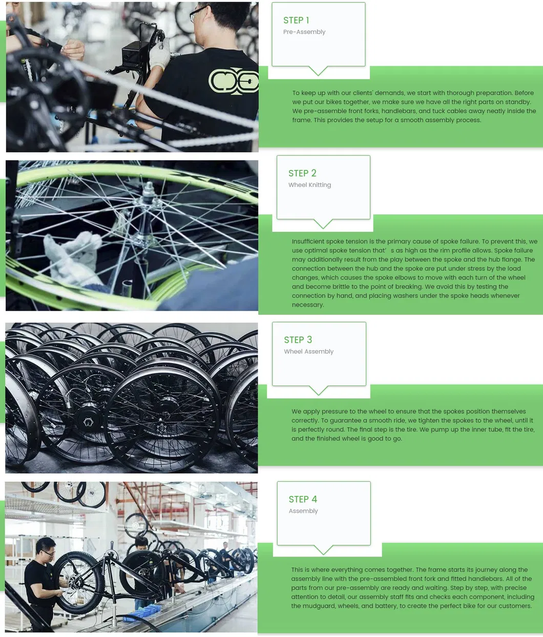 Beach Cruiser Fat Tyre Electric Mountain Bicycle Ebike with 250W Rear Motor