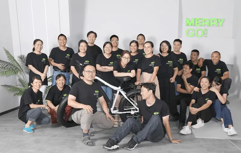 Beach Cruiser Fat Tyre Electric Mountain Bicycle Ebike with 250W Rear Motor