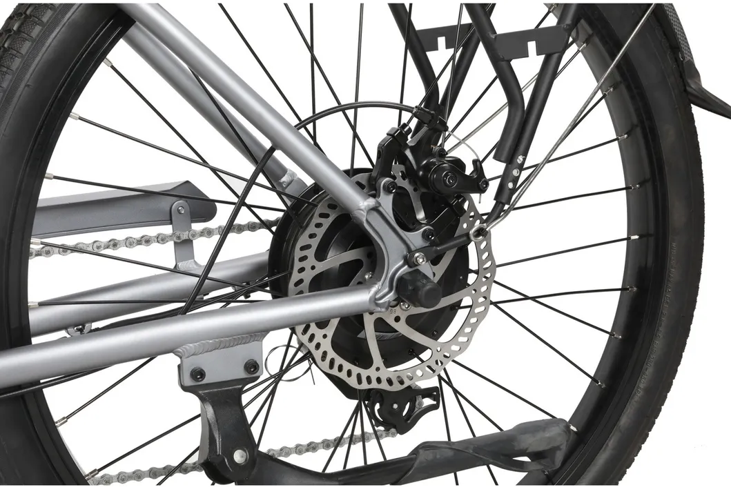 Beach Cruiser Fat Tyre Electric Mountain Bicycle Ebike with 250W Rear Motor