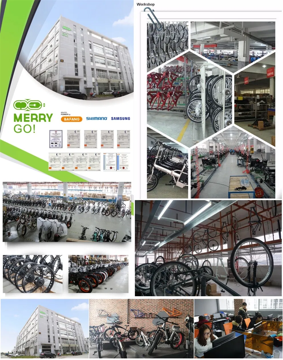 Beach Cruiser Fat Tyre Electric Mountain Bicycle Ebike with 250W Rear Motor