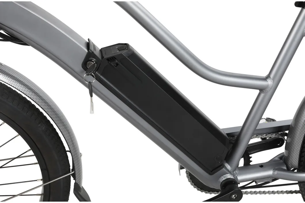 Beach Cruiser Fat Tyre Electric Mountain Bicycle Ebike with 250W Rear Motor