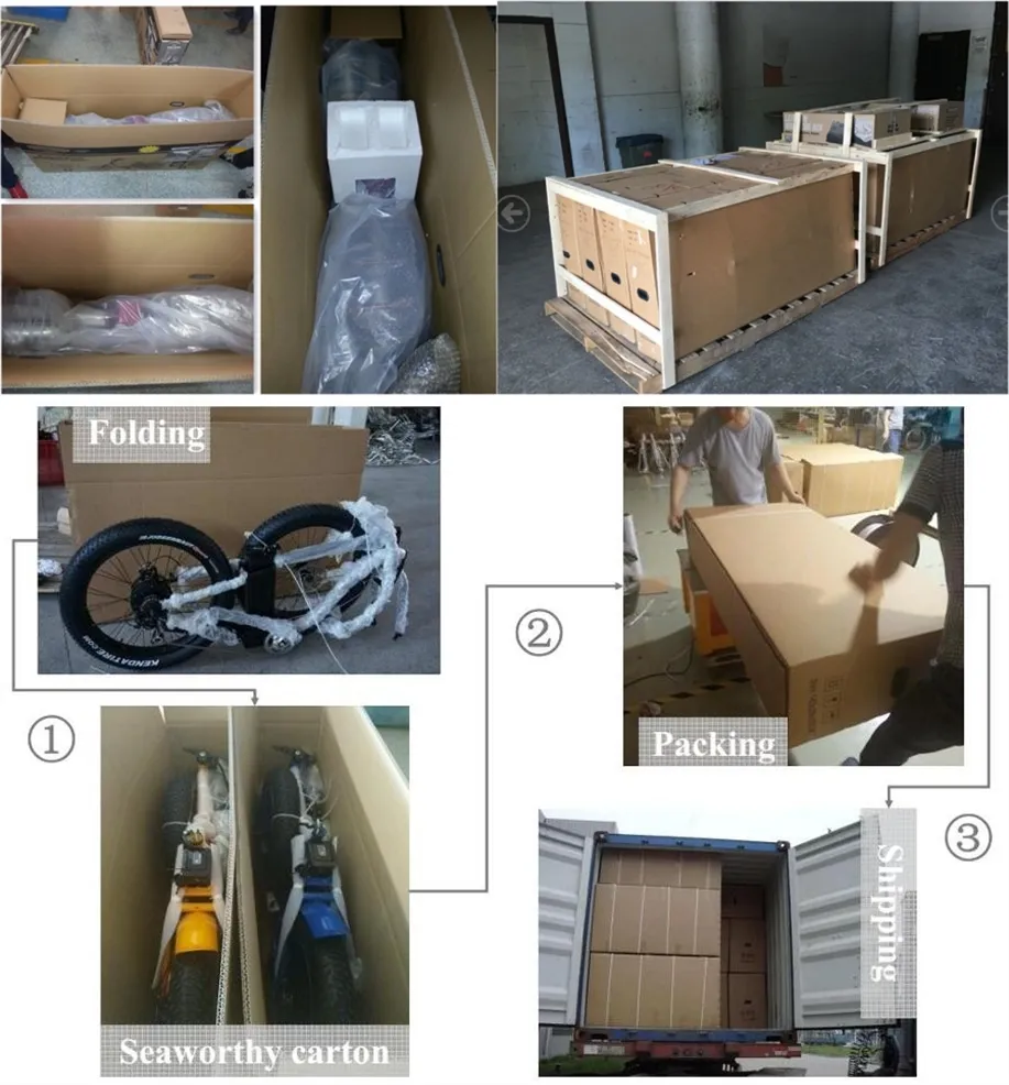 Beach Cruiser Fat Tyre Electric Mountain Bicycle Ebike with 250W Rear Motor