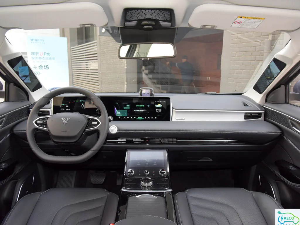 Best Nata U EV 100km/H Electric Nata U SUV Sedan Car Performance 5 Vehicle 301km Electric