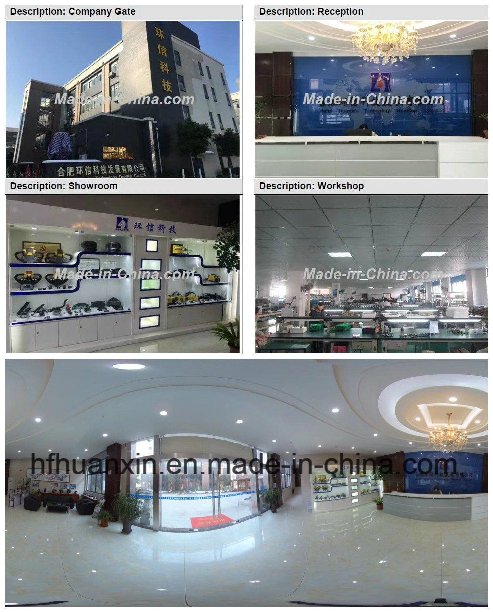 Best Selling Curtis Programmable DC Motor Controller 1207b-5101 24V-300A for Personnel Carriers