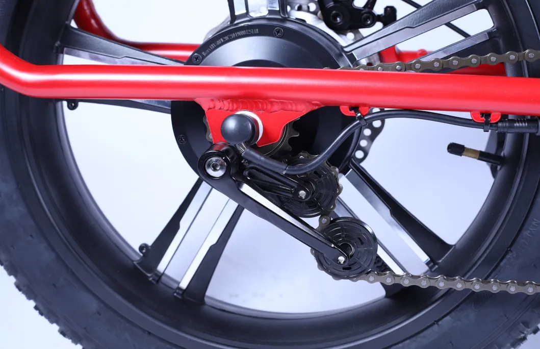 Bicycle 20inch Fat Tire City Electric Bike