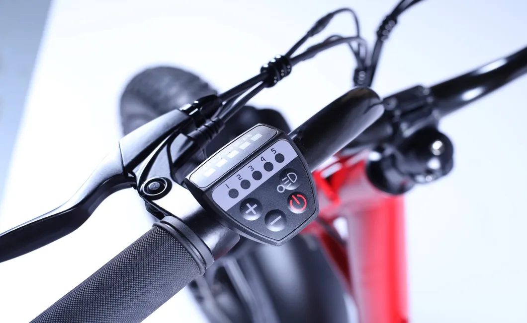 Bicycle 20inch Fat Tire City Electric Bike