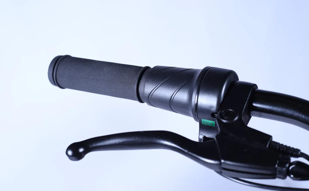 Bicycle 20inch Fat Tire City Electric Bike