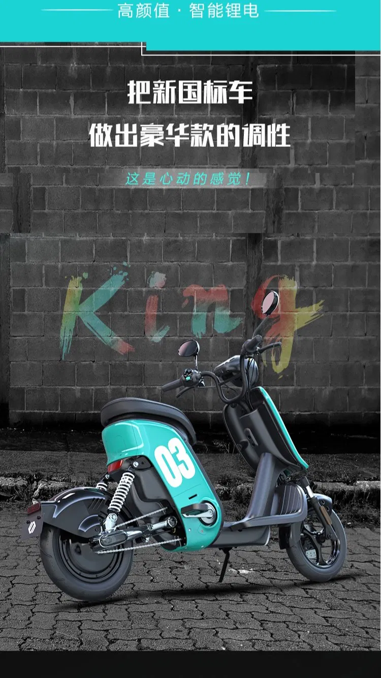 Big Fat Tire 2018 New Products Hot Sale Wheel 2 Seat Mini Bike Bicycle / Kids Pedal Assist Chinese Cheap EU Stock Childrens Fast 250W Niu 2000W Electric Moped
