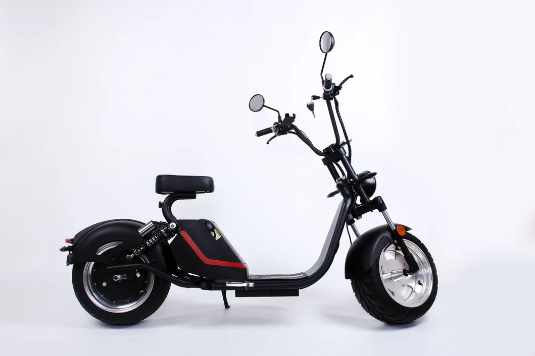 Big Wheel Fat Tire Electric Scooter Rear Gearless Motor Adult with Pedal Assist System