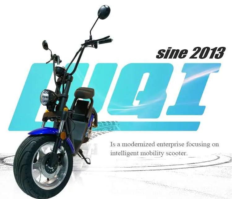 Big Wheel Fat Tire Electric Scooter Rear Gearless Motor Adult with Pedal Assist System
