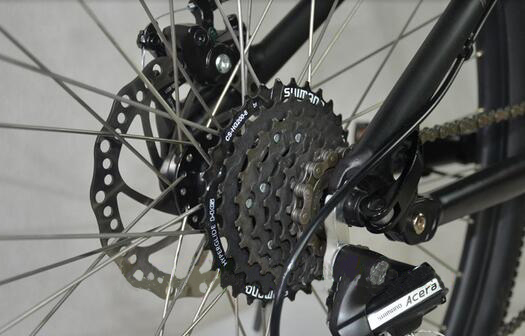 Brushless Built-in Bafang Motor 250W36V Electrci Bicycle with Shimano Alivio 8 Speed Gears