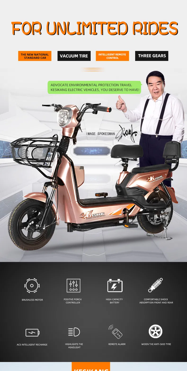 Brushless Motor Alloy Electric Bicycle  Carton Brushless Offroad Electric Scooter  Carton Electric Dirt Bike  E-Bike