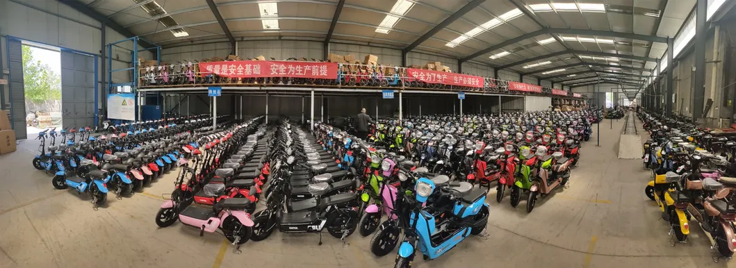 Brushless Motor Alloy Electric Bicycle  Carton Brushless Offroad Electric Scooter  Carton Electric Dirt Bike  E-Bike