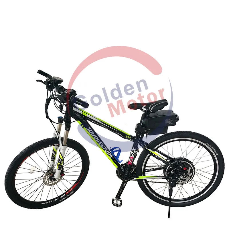 Brushless Motor Ebike Conquer Any Steep Hills /Fast/Coolest (SEB-350D)