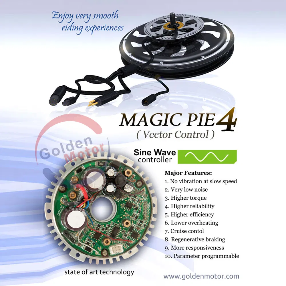 Brushless Motor Ebike Conquer Any Steep Hills /Fast/Coolest (SEB-350D)