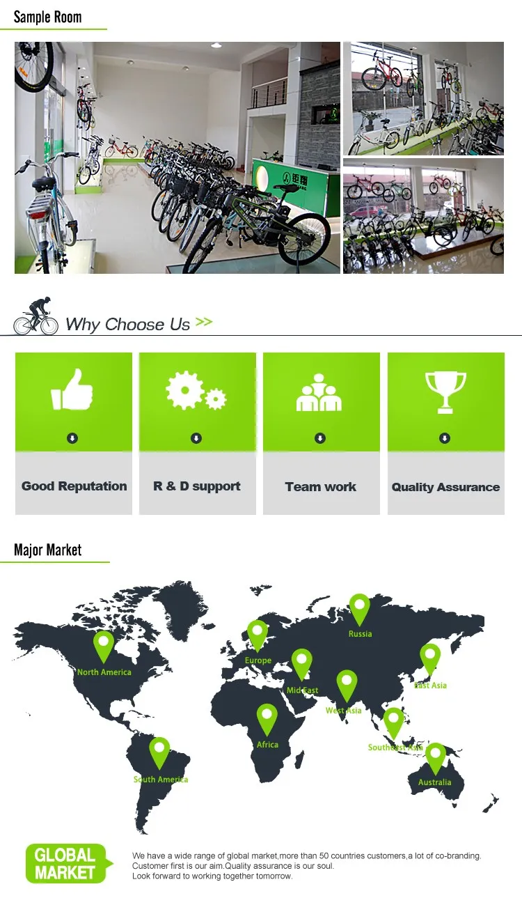 Caliente Venta De Bicicleta Electrica Con En15194