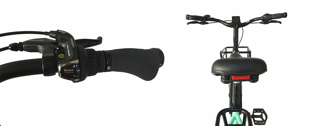 Cargo Electric Bike with Tektro Brake and Shimano Derailleur Reinforced