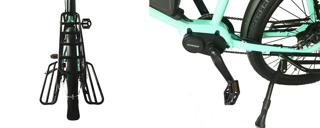 Cargo Electric Bike with Tektro Brake and Shimano Derailleur Reinforced