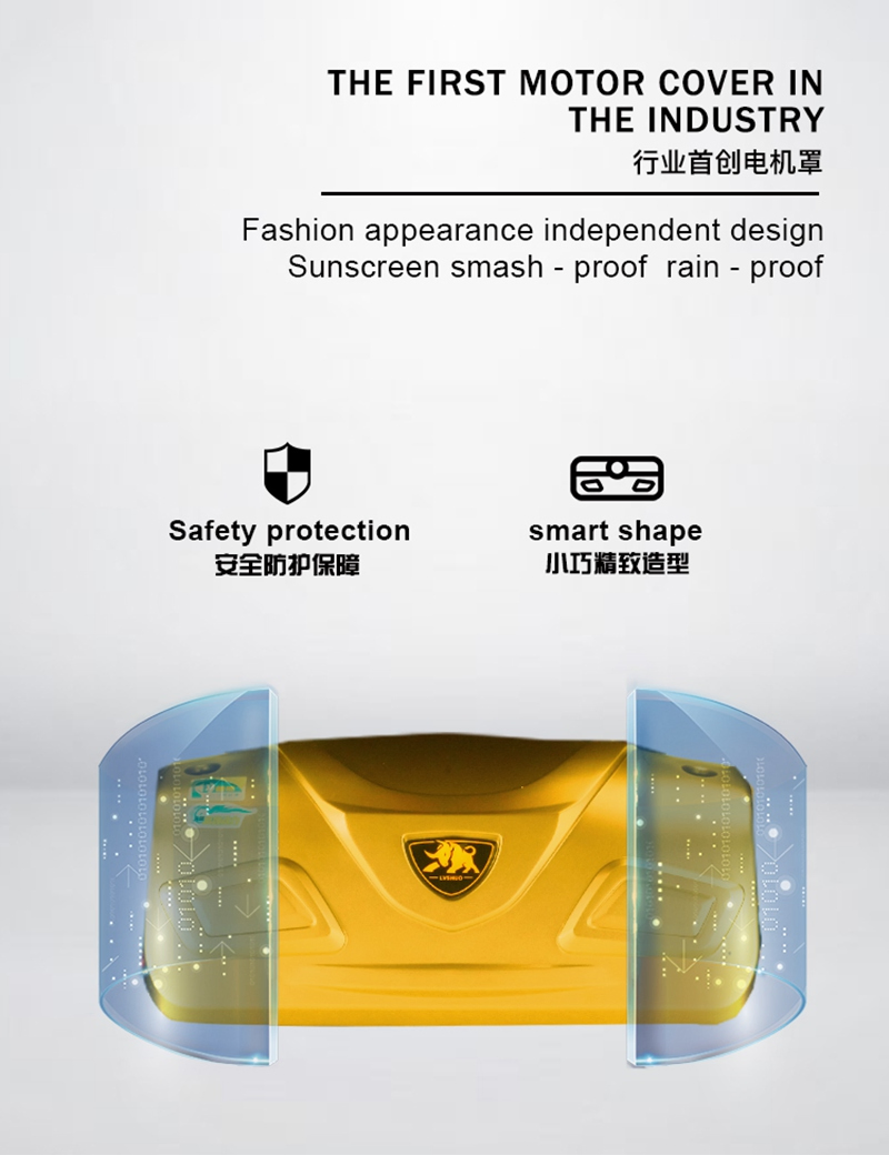 Carver Aimos Kavaki Mainbon Lmi Xuzhou Handicapped Israel in-Wheel Motor 500W Electric Tricycle