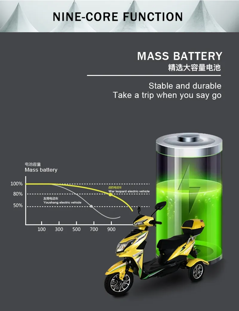 Carver Aimos Kavaki Mainbon Lmi Xuzhou Handicapped Israel in-Wheel Motor 500W Electric Tricycle