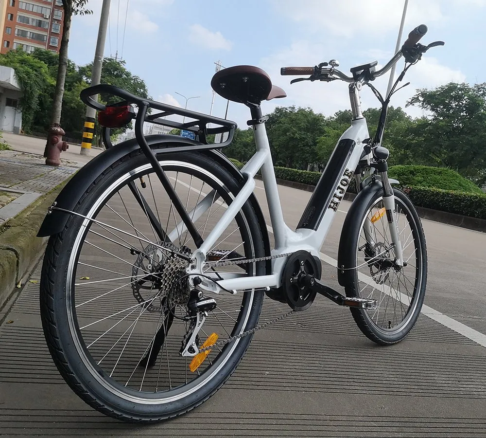 CE/En15194 Electric Bike for Woman New Design