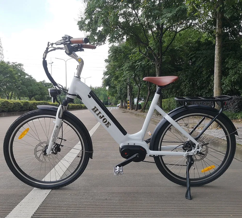 CE/En15194 Electric Bike for Woman New Design