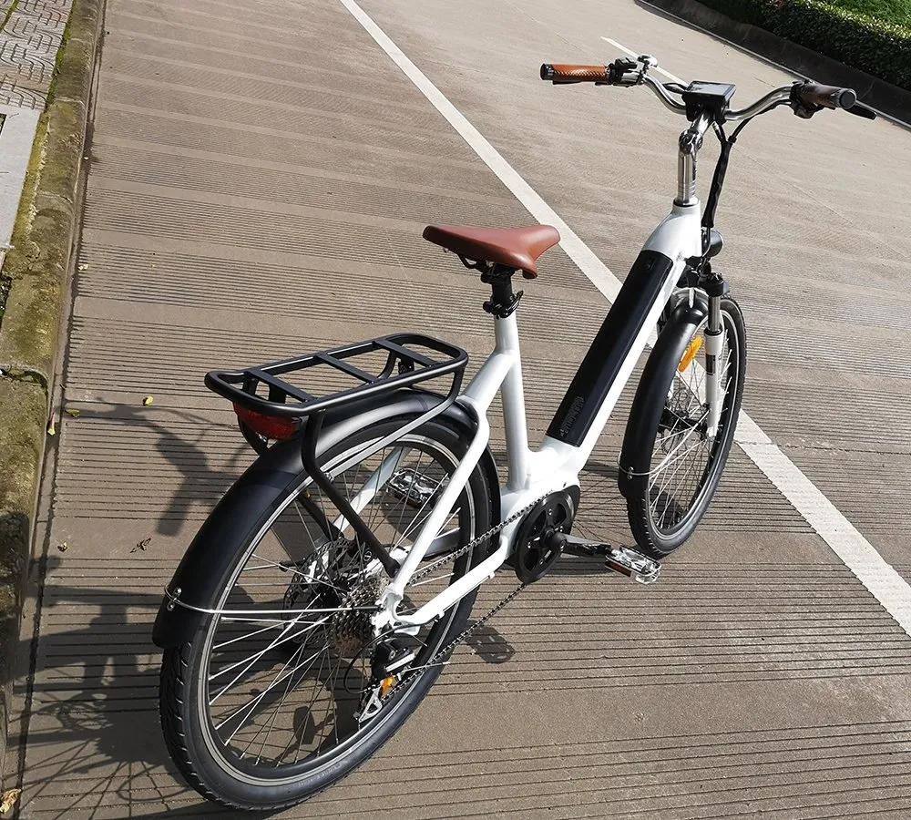 CE/En15194 Electric Bike for Woman New Design