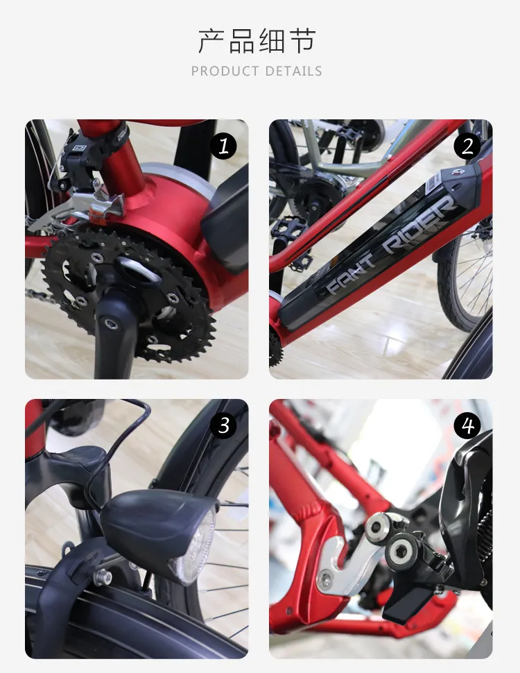 Cheap Price Motor Torque Mountain Electric Bike 26inch