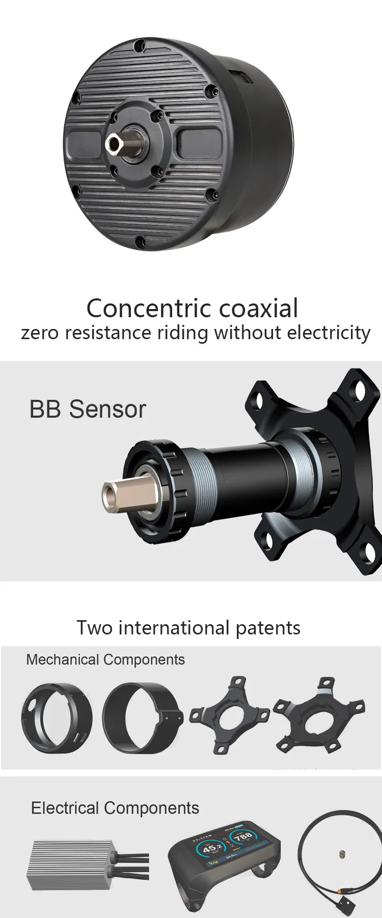 Cheap Price Motor Torque Mountain Electric Bike 26inch