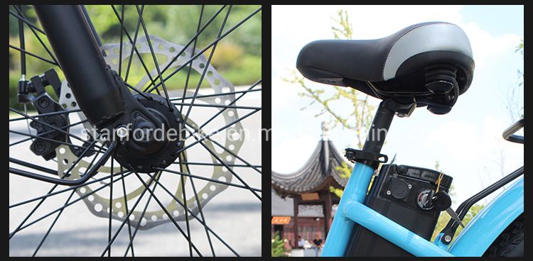 Cheapest 2 Seat 48 Volt Battery Speedy Electric Bicycle