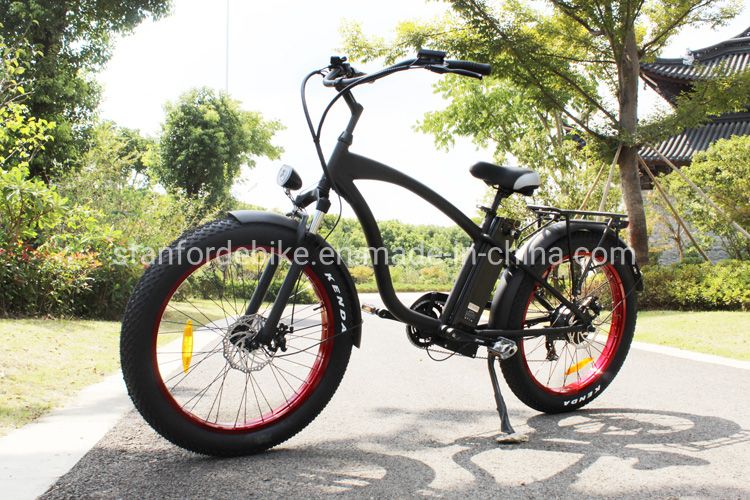 Cheapest 2 Seat 48 Volt Battery Speedy Electric Bicycle